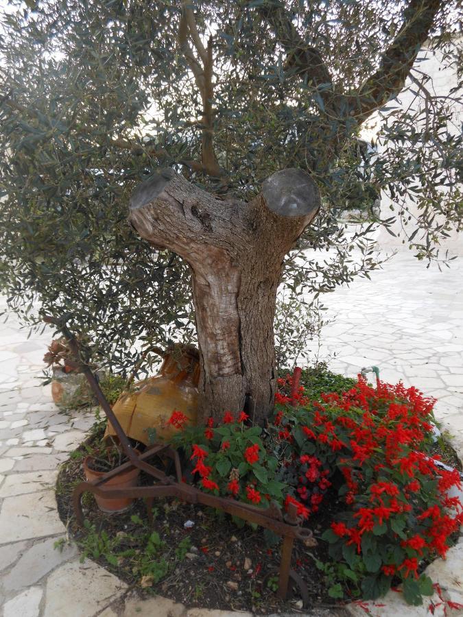 Agli Antichi Trulli Bed and Breakfast Alberobello Eksteriør billede